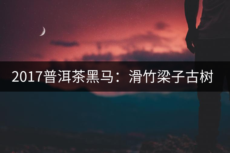 2017普洱茶黑馬：滑竹梁子古樹茶或?qū)⒈q！