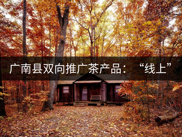 廣南縣雙向推廣茶產品：“線上”銷售茶葉已有100多家，“線下”銷售額已達百萬