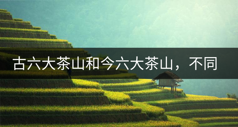 古六大茶山和今六大茶山，不同普洱茶品質(zhì)