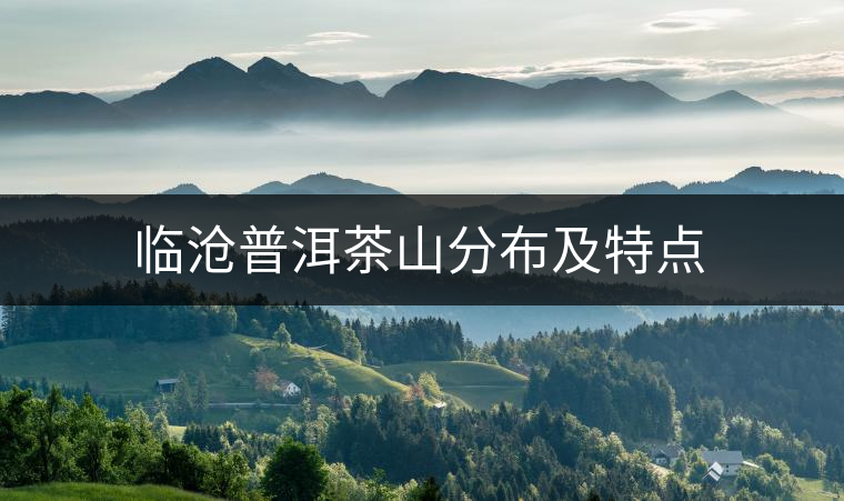 臨滄普洱茶山分布及特點