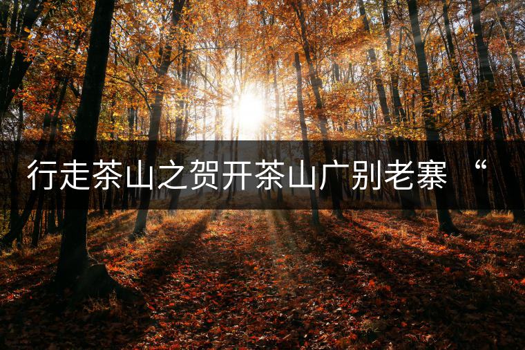 行走茶山之賀開(kāi)茶山廣別老寨 “妖香”野韻