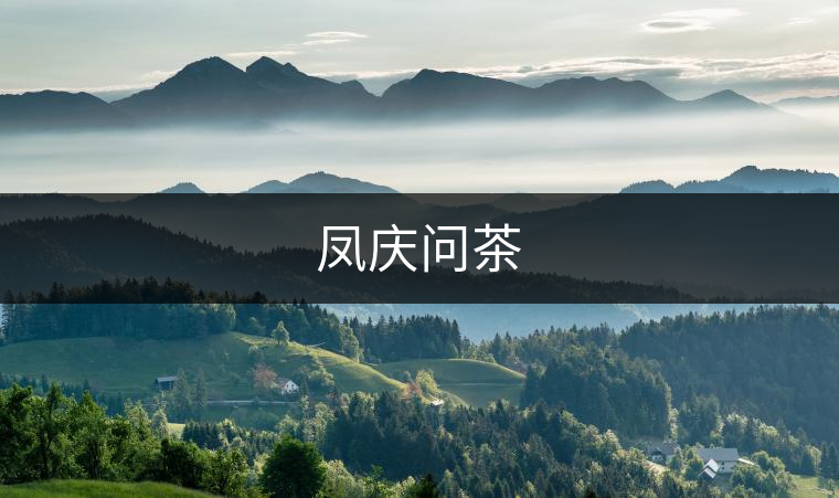 鳳慶問(wèn)茶