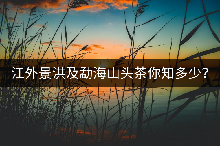 江外景洪及勐海山頭茶你知多少？