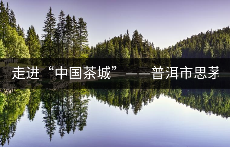 走進“中國茶城”——普洱市思茅區(qū)(組圖)