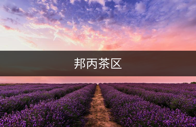 邦丙茶區(qū)