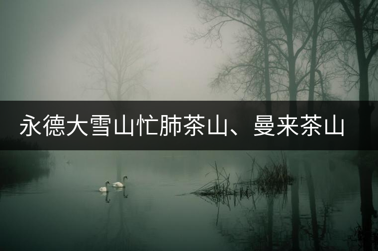 永德大雪山忙肺茶山、曼來茶山、放牛場茶園的生態(tài)指數(shù)
