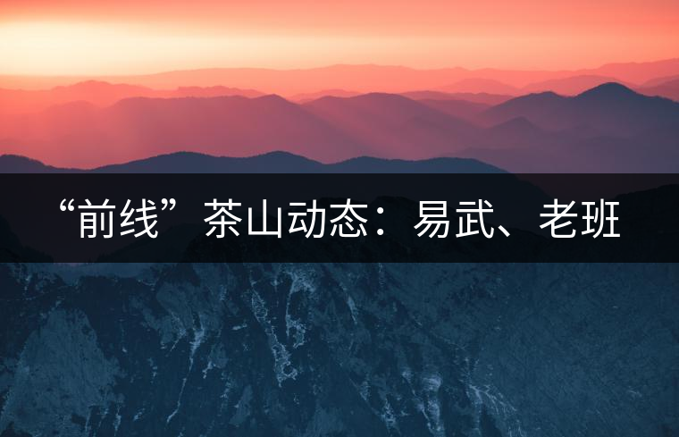 “前線”茶山動(dòng)態(tài)：易武、老班章
