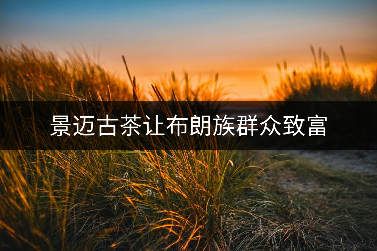 景邁古茶讓布朗族群眾致富