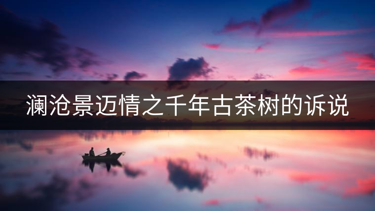 瀾滄景邁情之千年古茶樹(shù)的訴說(shuō)