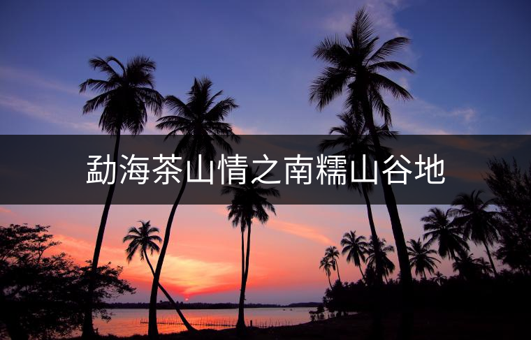 勐海茶山情之南糯山谷地