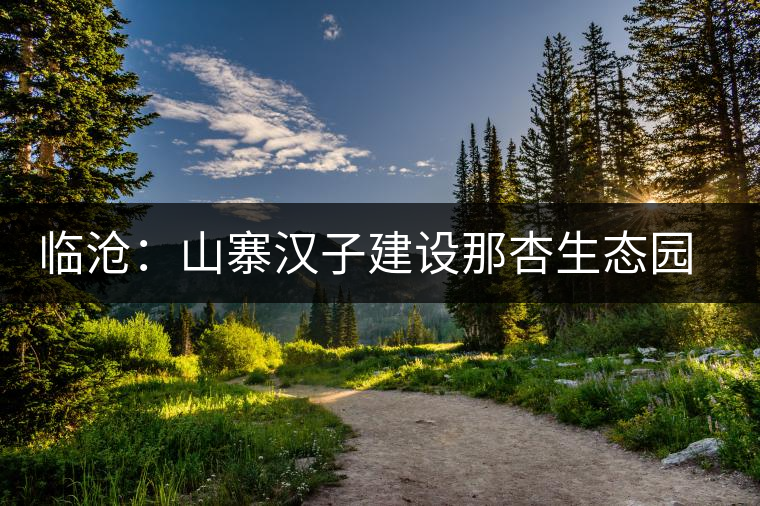 臨滄：山寨漢子建設(shè)那杏生態(tài)園 帶動茶農(nóng)增收致富
