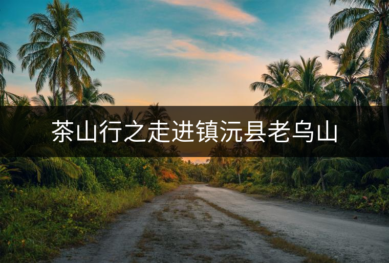 茶山行之走進(jìn)鎮(zhèn)沅縣老烏山