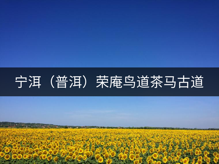 寧洱（普洱）榮庵鳥道茶馬古道