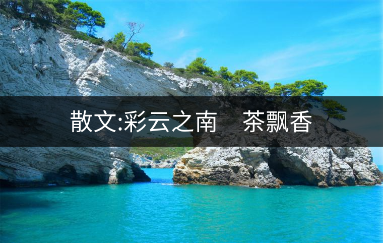 散文:彩云之南　茶飄香