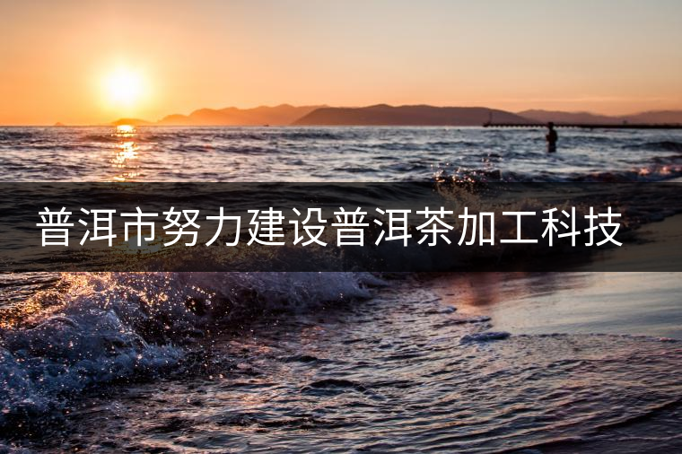 普洱市努力建設(shè)普洱茶加工科技園