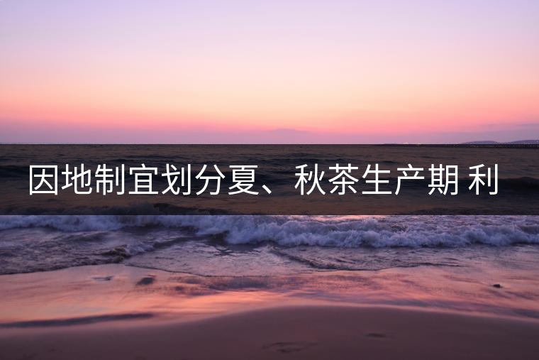 因地制宜劃分夏、秋茶生產(chǎn)期 利于采摘品質