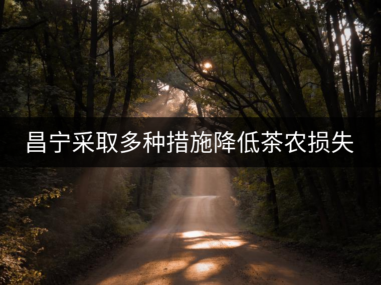 昌寧采取多種措施降低茶農(nóng)損失