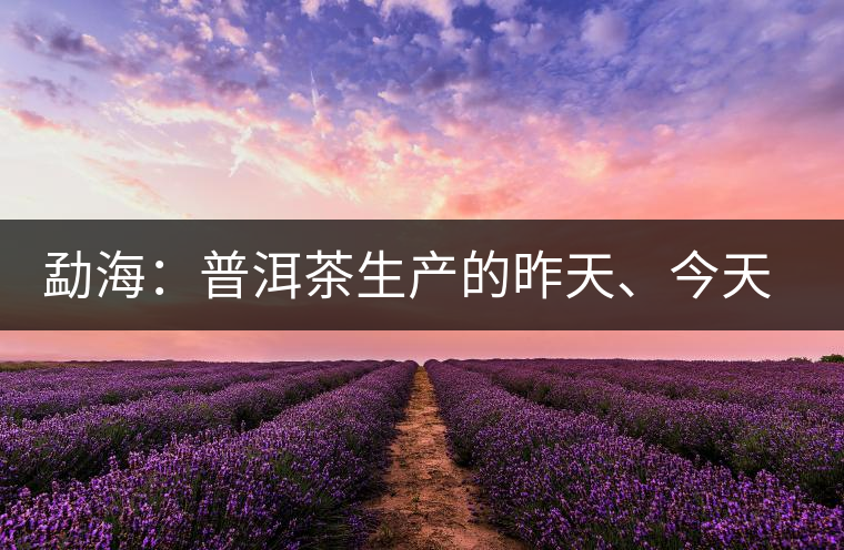 勐海：普洱茶生產(chǎn)的昨天、今天、明天