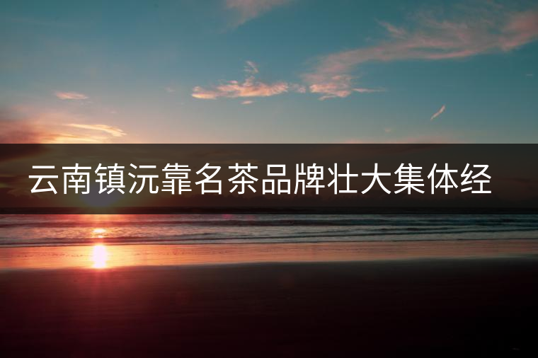 云南鎮(zhèn)沅靠名茶品牌壯大集體經(jīng)濟(jì)