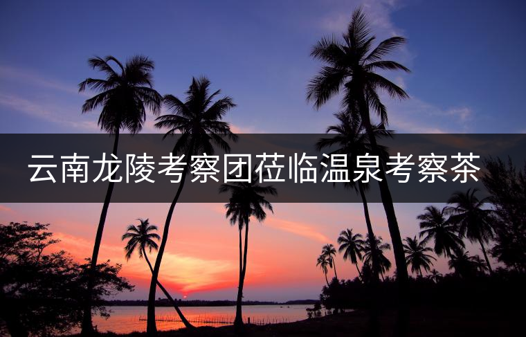 云南龍陵考察團(tuán)蒞臨溫泉考察茶葉產(chǎn)業(yè)