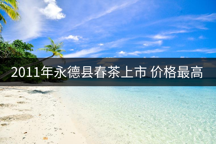 2011年永德縣春茶上市 價(jià)格最高同比增長(zhǎng)140%
