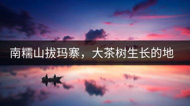 南糯山拔瑪寨，大茶樹生長的地方