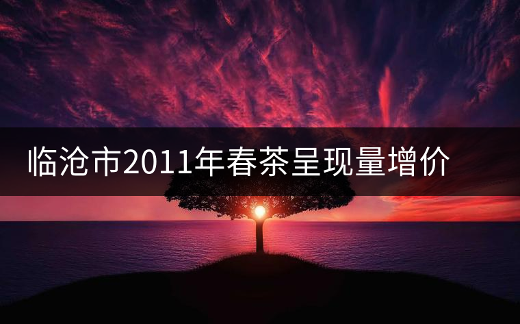 臨滄市2011年春茶呈現(xiàn)量增價(jià)漲良好局面