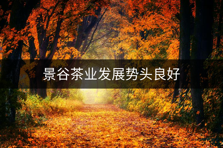 景谷茶業(yè)發(fā)展勢(shì)頭良好