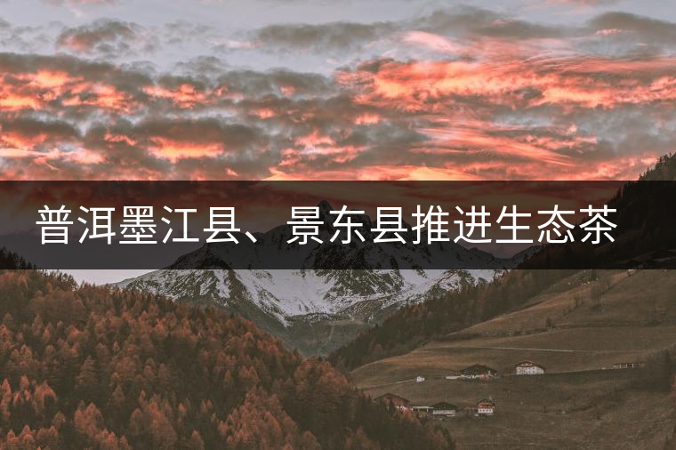 普洱墨江縣、景東縣推進生態(tài)茶園建設