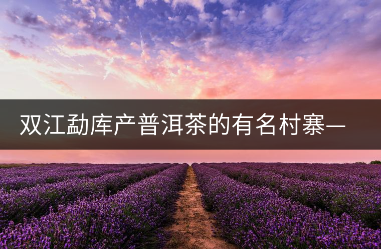 雙江勐庫產(chǎn)普洱茶的有名村寨——冰島村