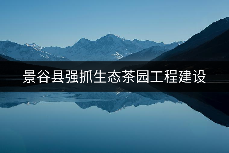 景谷縣強(qiáng)抓生態(tài)茶園工程建設(shè) 景谷縣強(qiáng)抓生態(tài)茶園工程建設(shè)