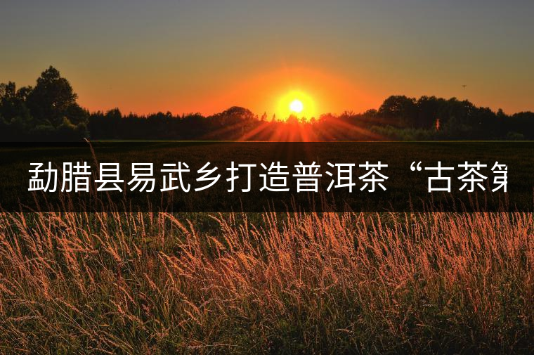 勐臘縣易武鄉(xiāng)打造普洱茶“古茶第一鎮(zhèn)”