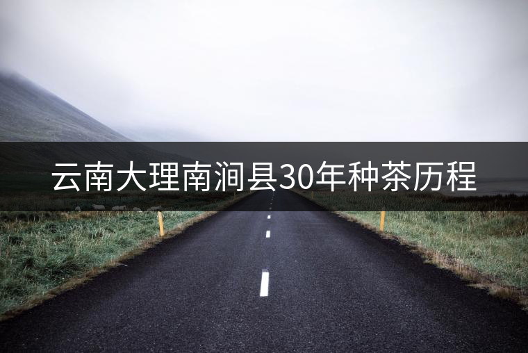 云南大理南澗縣30年種茶歷程