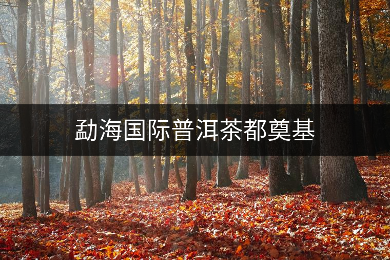 勐海國(guó)際普洱茶都奠基