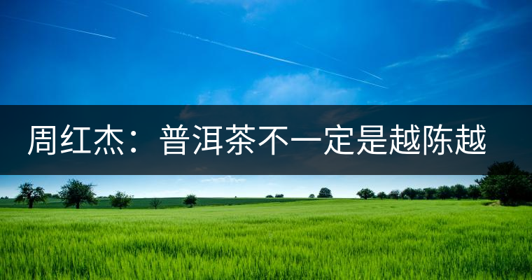 周紅杰：普洱茶不一定是越陳越香、越陳越好