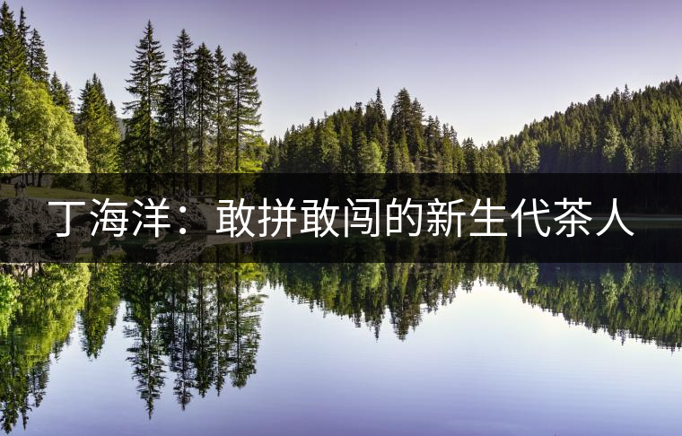 丁海洋：敢拼敢闖的新生代茶人