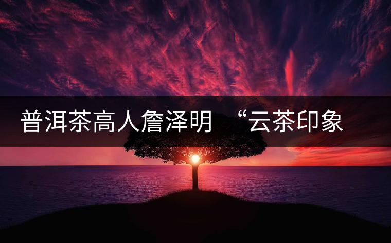 普洱茶高人詹澤明  “云茶印象”品茶悟茶道