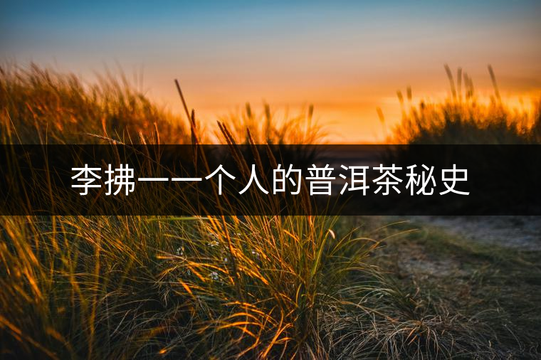 李拂一一個(gè)人的普洱茶秘史 李拂一一個(gè)人的普洱茶秘史
