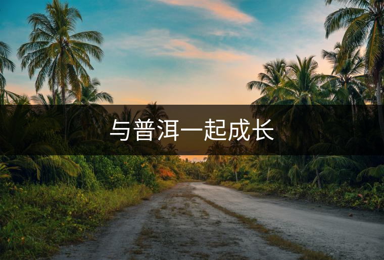 與普洱一起成長(zhǎng) 與普洱一起成長(zhǎng)