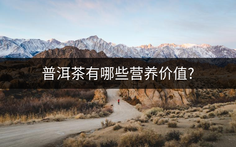 普洱茶有哪些營(yíng)養(yǎng)價(jià)值?