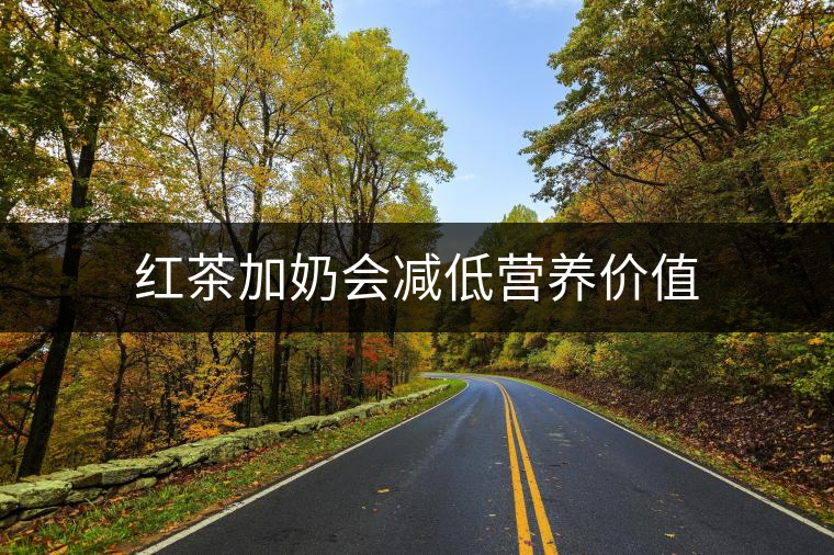 紅茶加奶會減低營養(yǎng)價值