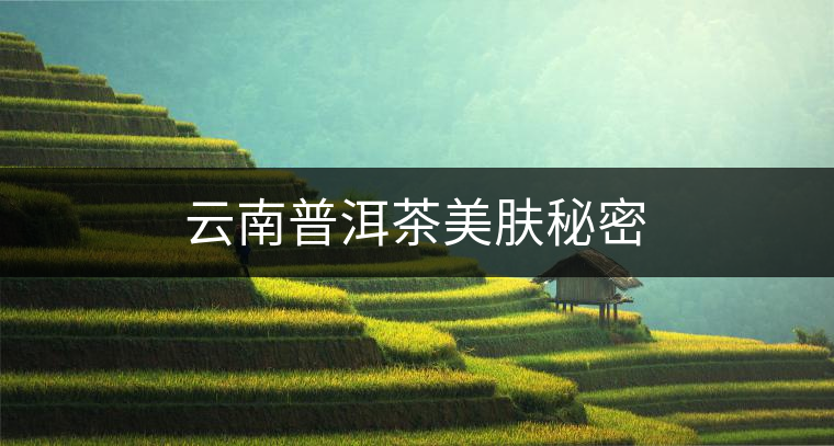 云南普洱茶美膚秘密