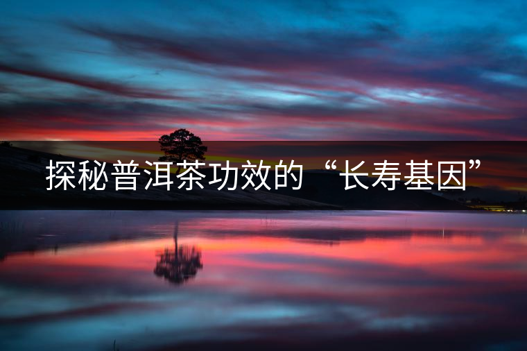 探秘普洱茶功效的“長壽基因”