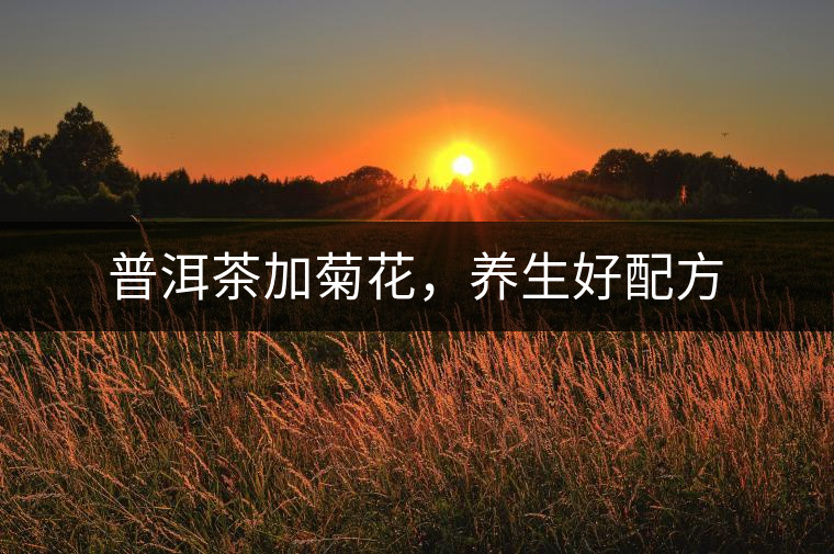普洱茶加菊花，養(yǎng)生好配方