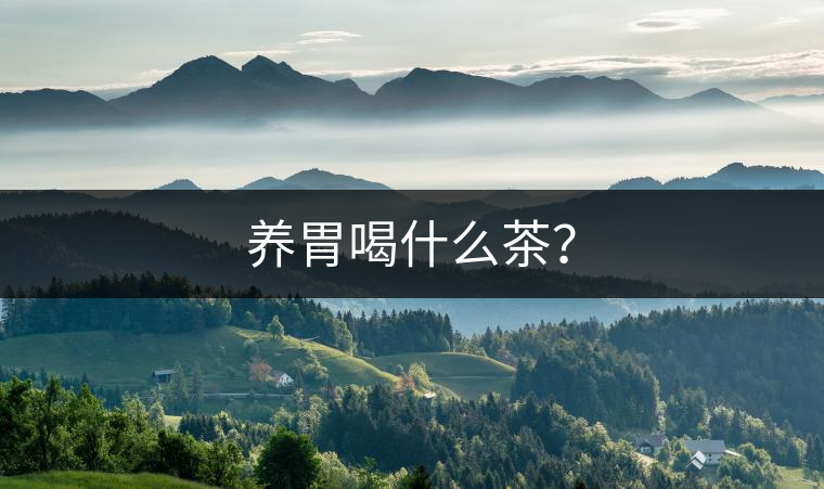 養(yǎng)胃喝什么茶？