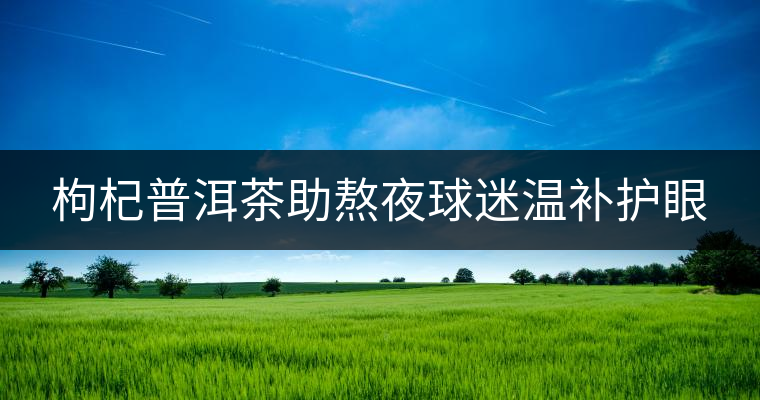 枸杞普洱茶助熬夜球迷溫補(bǔ)護(hù)眼