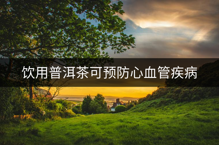 飲用普洱茶可預(yù)防心血管疾病
