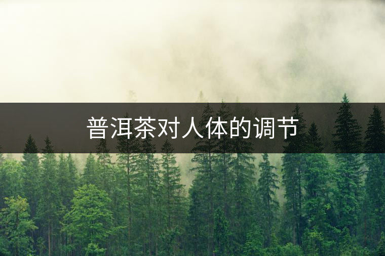 普洱茶對人體的調節(jié)