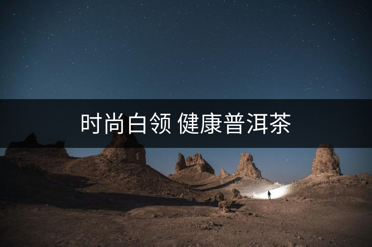 時(shí)尚白領(lǐng) 健康普洱茶