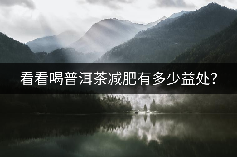 看看喝普洱茶減肥有多少益處？